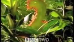 bbc two predator ident