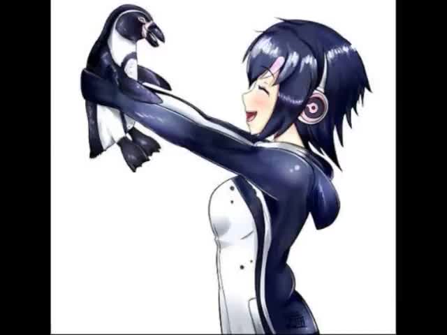 penguin dance
