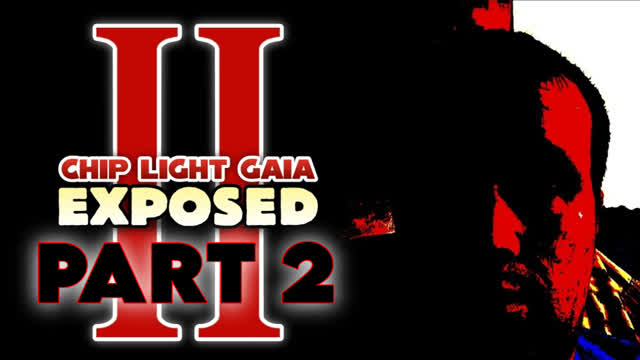 Chip Light Gaia / Charmy Bee EXPOSED - Chapter 2 / Part 2