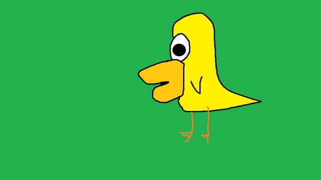 100 Ducks