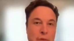 Elon musk hates niggers