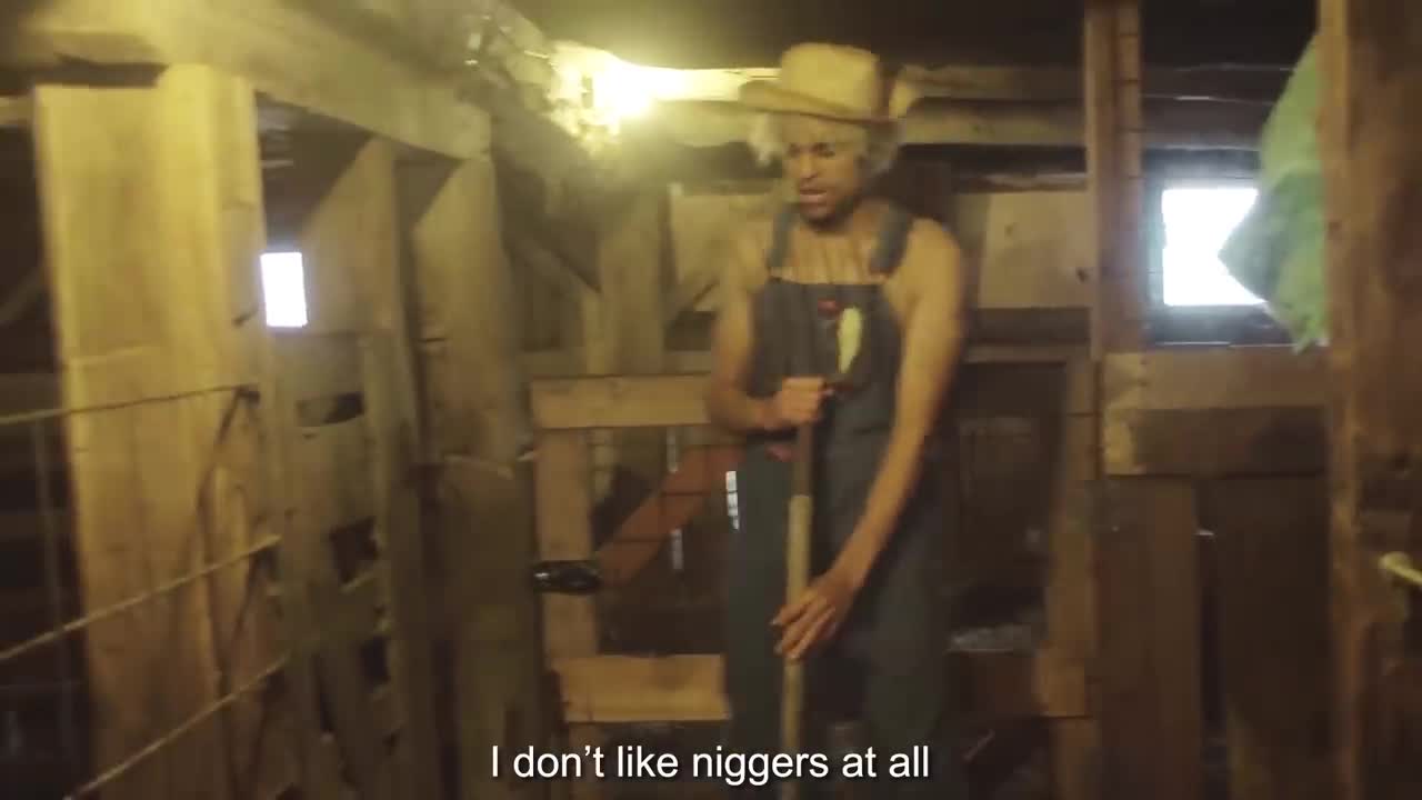 I Dont Like Niggers