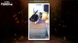 commercial failure #2 - guide