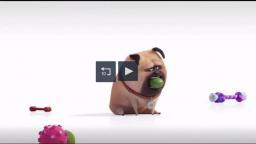 Universal Studios Hollywood TV Commercial, The Secret Life of Pets  Off the Leash   Mirror iSpot tv
