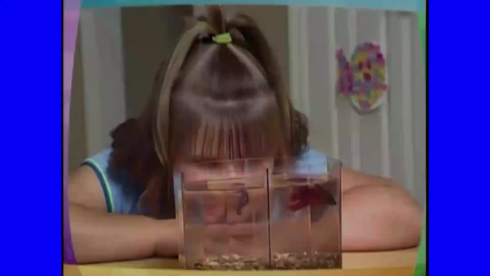 Barney y sus amigos - Conejitos / Episodio Completo (Español Latino) Barney y sus amigos - Conejitos / Episodio Completo (Español Latino)