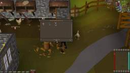 (OSRS) Loot From Killing Chicken [wScy-i_kWXM]