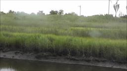 THE VIEWS OF EISENHOWER PARK AND NORMAN J LEVY PARK & PRESERVE