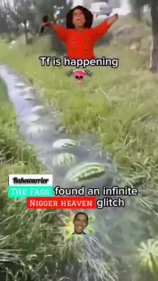 Infinite Watermelon Glitch!? Infinite Watermelon Glitch!?