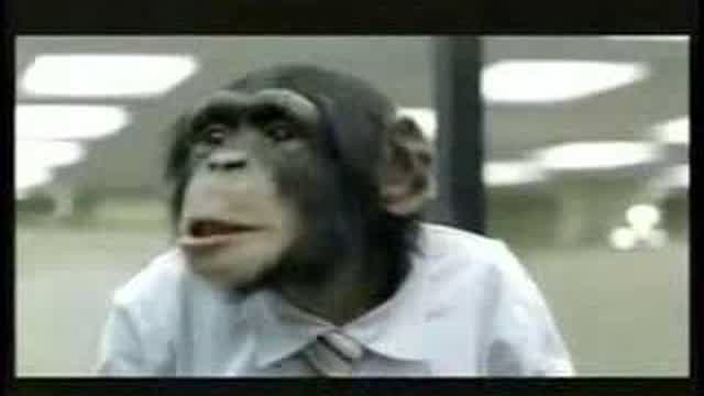 Career Builder Monkeys Super Bowl XL Commercial