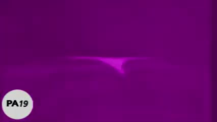 MTC Video high voice by Bob pizza MTC Video high voice by Bob pizza