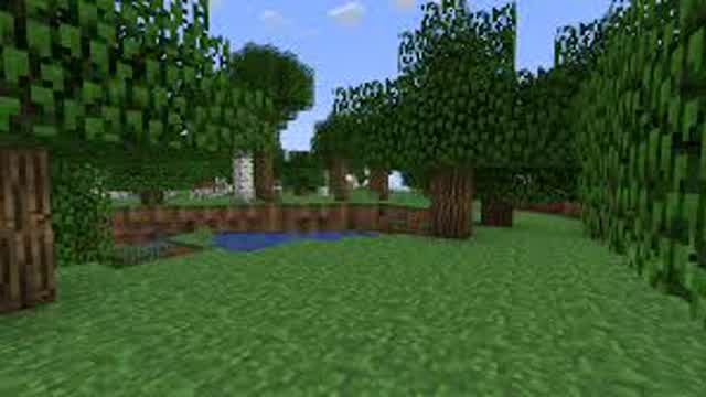 Playing Minecraft !!!!1111!!!!