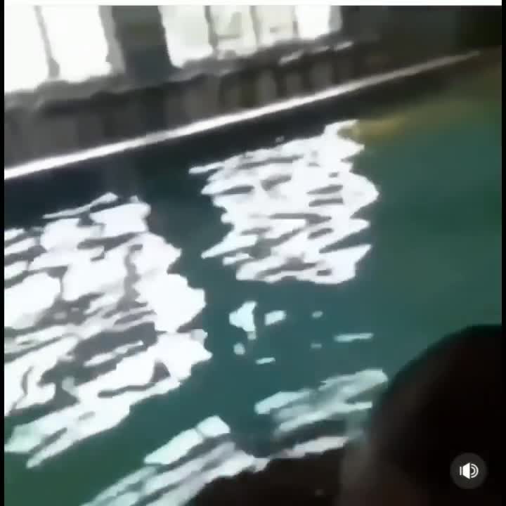 VidLii moderator DOXXED