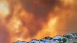 A powerful forest fire in Chile - only a river separates it from the residential areas of the city o