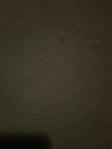 My Misc. Format collection