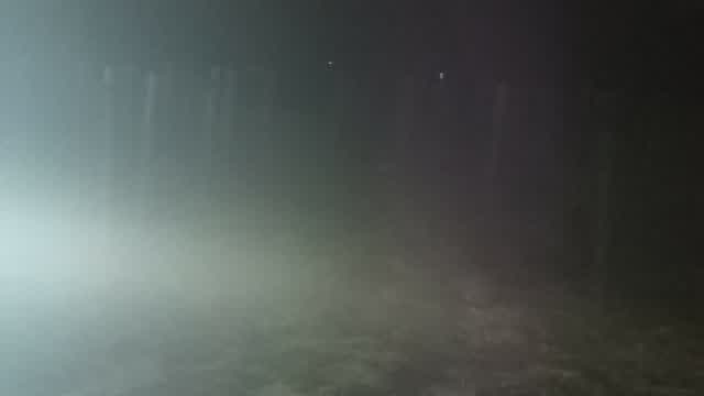 tie me down (skin cells rendition)