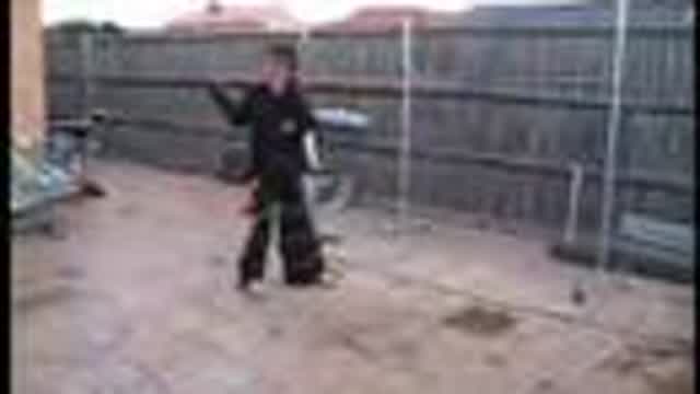 mvs/Francis shuffling!!!