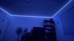 Horknee LED stripper lights