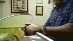 Crazy Cat Attacks the vet