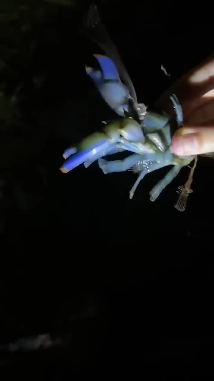 Found a yabbie!