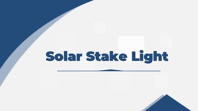 Solar stainless steel stake light