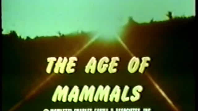 The Age of Mammals (1981)