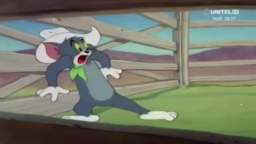Tom y Jerry Texas Tom