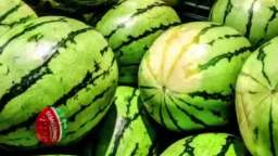 2 Benefits of eating Watermelon for Weight loss