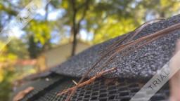 High Rise Gutter Cleaning Repair and Maintenance Tips