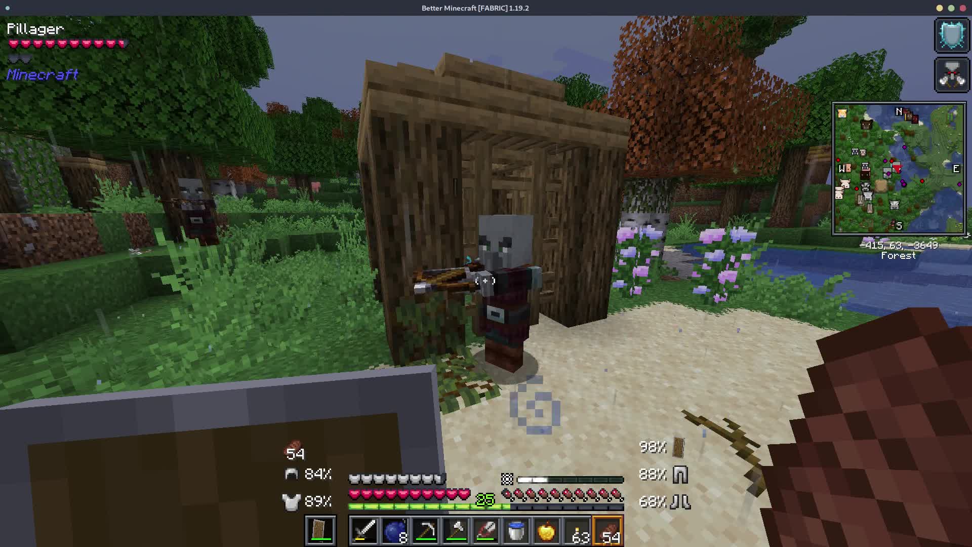 Minecraft - Dumb Pillager