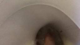 How To Flush A Toliet