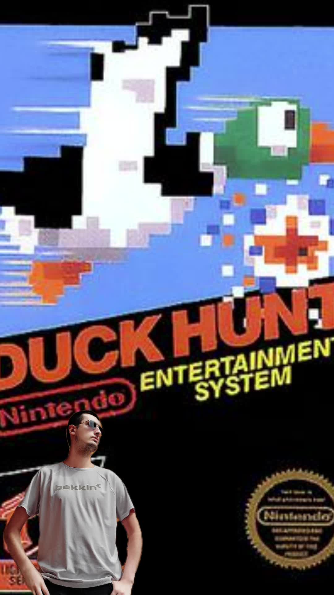 NES GAMES - DUCK HUNT