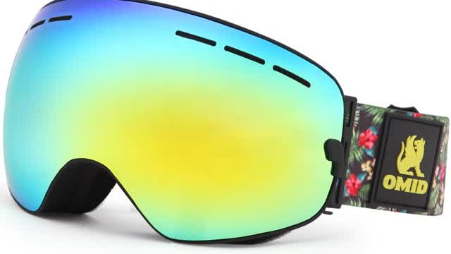 BE NICE - PC Lens Ski Goggles Polarized Available SNOW-3100 Custom Logo Snow Goggle For Adult