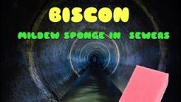 Biscon - Mildew in sewers