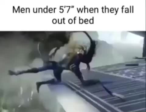 niggas under 5'7 when they fall out of bed