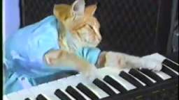 KEYBOARD CAT ORIGINAL CLIP 1984(240P)