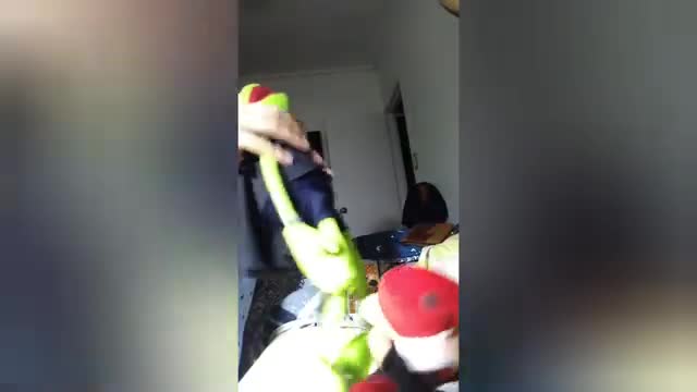 Fiesta Bresh 2020 (El Dino77)