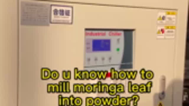 Do u know how to crush moringa leaf into powder by moringa leaf grinder?