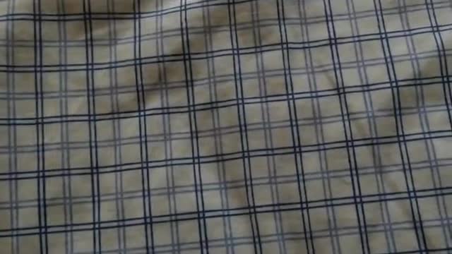 The DVD I Forgot To Show My Universal DVD Collection