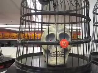 Automatonic Halloween Automatonic Halloween