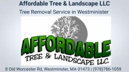 Affordable Tree & Landscape LLC – Tree Removal Service in Westminster MA