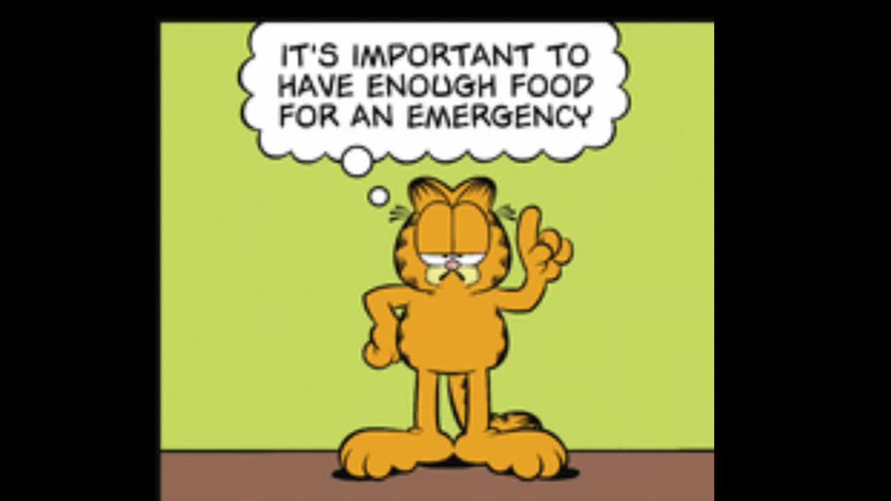 2026_01_10 Garfield Comic Dub