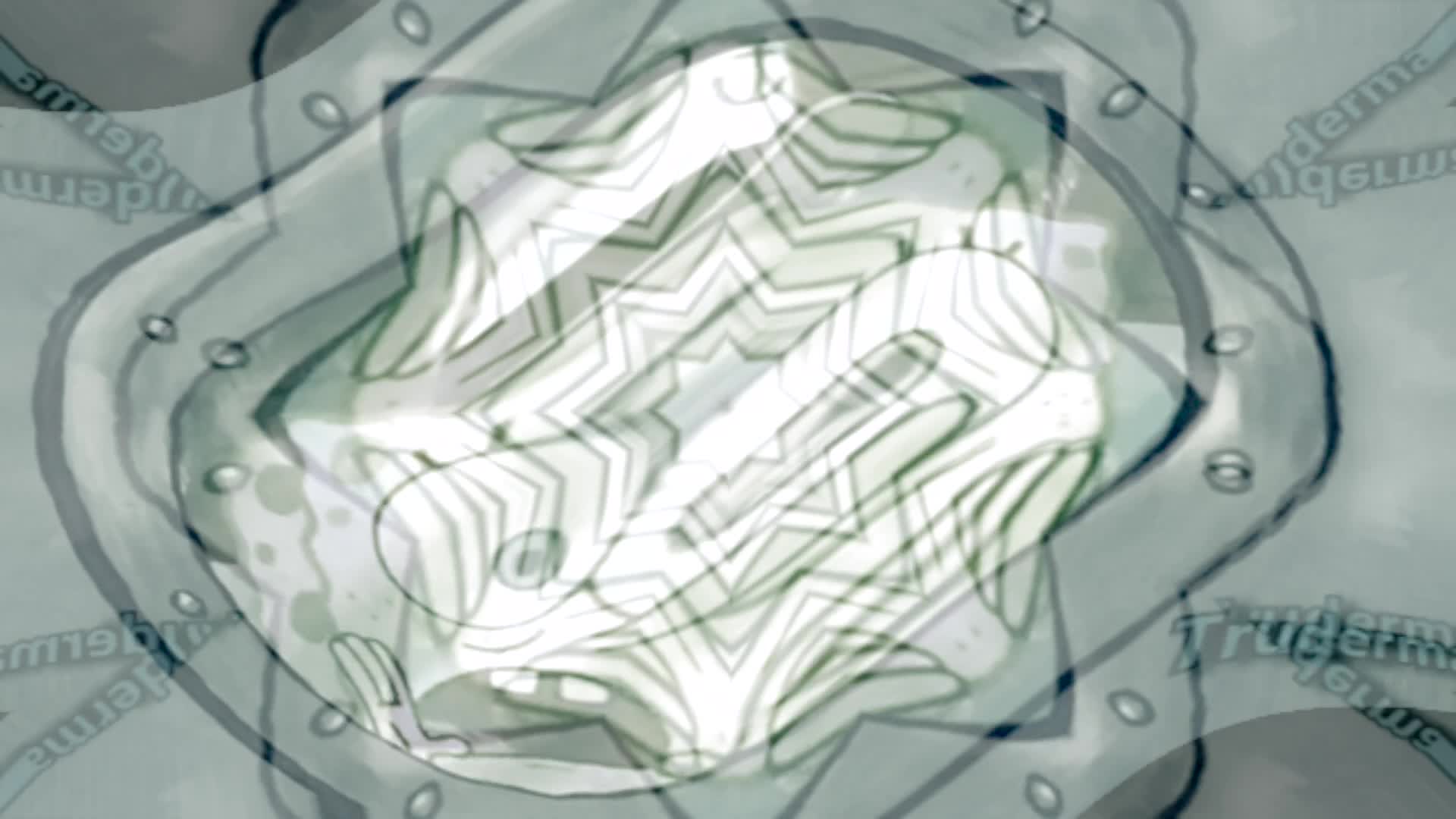 The Obliteration of Mana Ngetisa Arahu