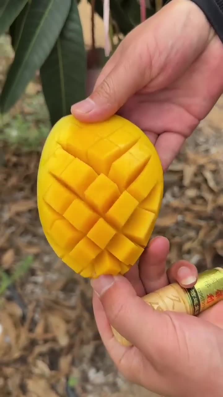 Let_s enjoy tasty and fresh fruits 🥭🍉🍒🥝🍓🍎 _shorts _nature _fruit(720P_HD)