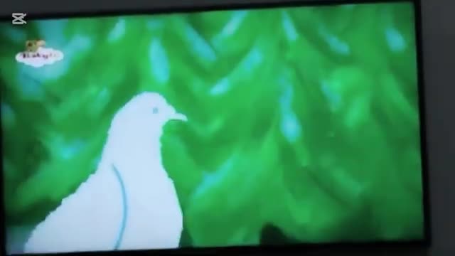 The Snowies - Pigeon