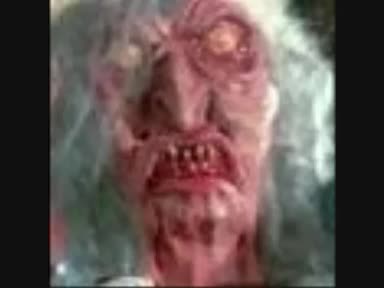 VIDLII TROLLS R SCARED SHITLESS
