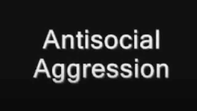 Antisocial Aggression