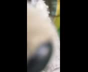 Yo_Cre�_Que_No_Hablaba_Bien_este_Vendedor_de_Huevos.3gp Yo_Cre�_Que_No_Hablaba_Bien_este_Vendedor_de_Huevos.3gp