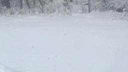 Snowing In March WTF?!? (VidLii Exclusive)