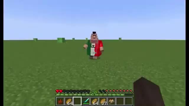 aniki in minecraft