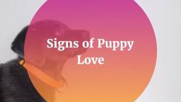 Signs of Puppy Love
